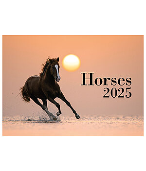 Equino Media Horses Kalender 2024 - 390002