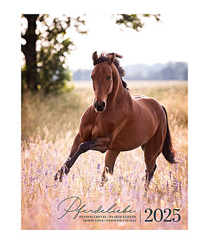 Claudia Rahlmeier & Frederike Scheytt Pferdeliebe Kalender 2024 - 390004