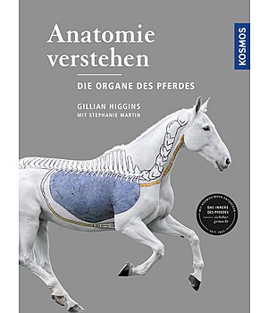 Gillian Higgins Anatomie verstehen - Die Organe des Pferdes - 402065