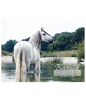 Equino Media Barock Kalender 2024 - 402354