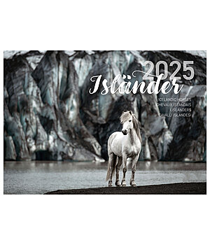 Ponyliebe Fotografie Islnder Kalender 2024 - 402419