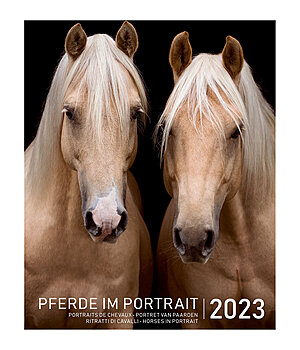 Equino Media Pferde im Portrait Kalender 2023 - 402532