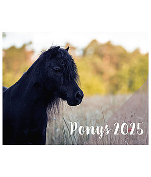 Ponyliebe Fotografie Pony Kalender 2024 - 402538