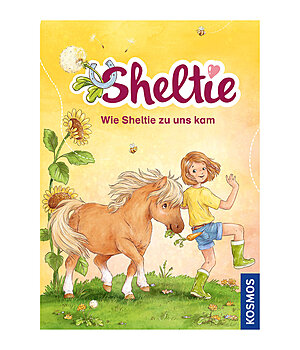 P.Clover Sheltie - Wie Sheltie zu uns kam - 402573