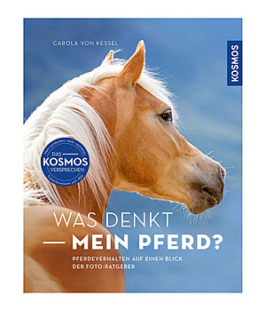 Carola von Kessel Was denkt mein Pferd? - 402588