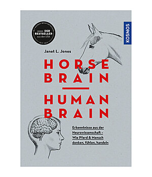 Janet L. Jones Horse Brain Human Brain - 402604
