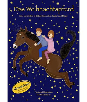 Martina Stricker Adventskalender-Kinderbuch, Das Weihnachtspferd - 402617