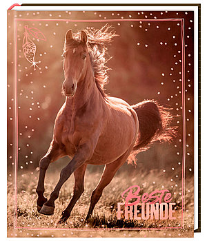 I LOVE HORSES - Beste Freunde Freundebuch - 403245