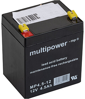 CORRAL Sun Power S250 - 480379