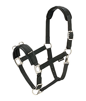 SHOWMASTER Longierhalfter Solid - 550007