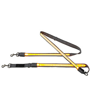 STEEDS LED-Hundeleine Loom - 600023