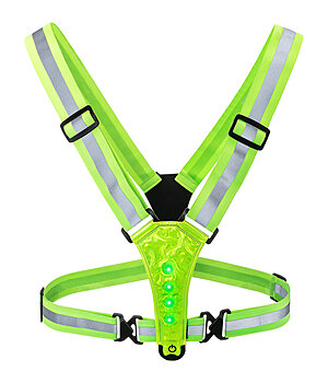 STEEDS LED Reflexgurt USB - 600031