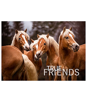 SHOWMASTER Grukarte True Friends - 621881