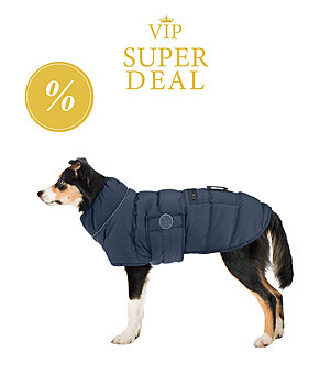 VIP Super Deal sugar dog LED-Hunde-Steppjacke Arlo, 300 g - V231203-XS-NV