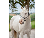 Knotenhalfter Beaded