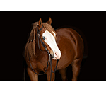 Westernkopfstck Copper