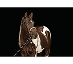 Bosal Remy