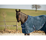 Abschwitzdecke Sitka