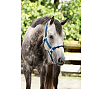 Hybrid Knotenhalfter