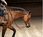 Zweiohr-Kopfst�ck Leaves