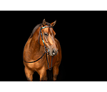 Kopfst�ck Tallulah