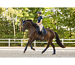 Schabracke Swiss Design