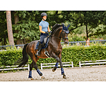 Schabracke Swiss Design