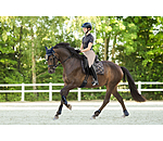 Schabracke Signature III