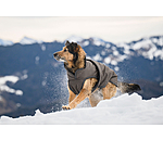 Hunde Wintermantel Eddie mit Fleeceinnenfutter, 200 g