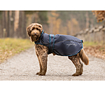 2 in 1 Nylon-Hundemantel Ally