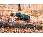 Hunde Regenmantel Eldoro II mit Fleeceinnenfutter, 0 g