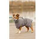 Hunde-Trocknungscape Dry Dog II