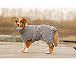 Hunde-Trocknungscape Dry Dog II