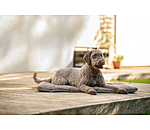 Hunde-Liegedecke Let Me Sleep