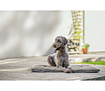 Hunde-Liegedecke Let Me Sleep