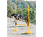 Agility Stangenauflagen