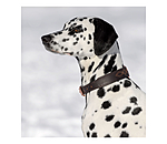 Leder-Hundehalsband Livorno