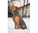 Hundemantel Archie mit Teddyfleece-Innenfutter, 160 g