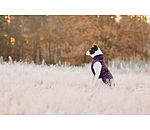 Hundemantel Archie mit Teddyfleece-Innenfutter, 160 g