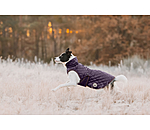 Hundemantel Archie mit Teddyfleece-Innenfutter, 160 g