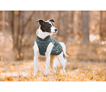 Hundemantel Archie mit Teddyfleece-Innenfutter, 160 g