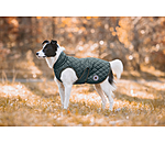 Hundemantel Archie mit Teddyfleece-Innenfutter, 160 g