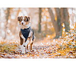 Hundemantel Archie mit Teddyfleece-Innenfutter, 160 g