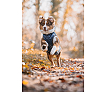 Hundemantel Archie mit Teddyfleece-Innenfutter, 160 g
