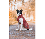 Hundemantel Archie mit Teddyfleece-Innenfutter, 160 g