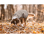Hundemantel Archie mit Teddyfleece-Innenfutter, 160 g
