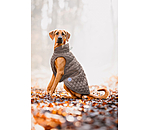 Hundemantel Archie mit Teddyfleece-Innenfutter, 160 g