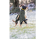 Softshell-Hundewalker Athlete, 0 g