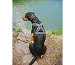 Hundegeschirr Piper