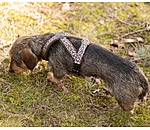 Hundegeschirr Piper
